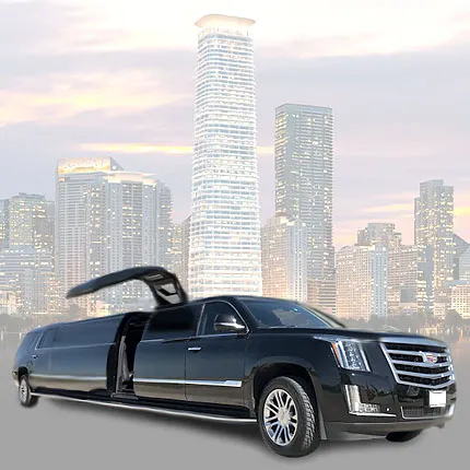 Bay Area Limousine service
