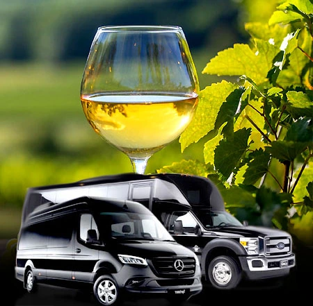 bay area limousine service